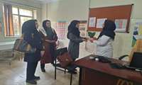 تقدیر از تعدادی از ماماهای شاغل در مراکز بهداشتی شهرستان همدان 