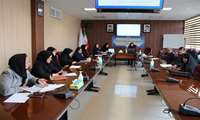 برگزاری نهمین کارگروه پیشگیری و مقابله با سقط عمدی جنین در معاونت بهداشتی