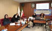 تاکید بر اجرای مواد کلیدی «قانون جوانی جمعیت» در کمیته بهداشت/ تدوین بسته سلامت باروری دختران نوجوان و آگاهی‌سنجی کارگران در دستور کار قرار گرفت