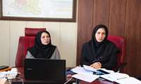نخستین کمیته اجرایی برنامه طب ایرانی در معاونت بهداشتی همدان برگزار شد