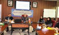 برگزاری دو کارگاه تخصصی سلامت روان ویژه پزشکان در معاونت بهداشتی