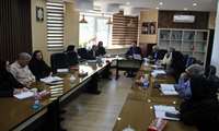 نشست هم‌افزایی کمیته‌های «بهداشت» و «طب ایرانی» با محوریت تحقق اهداف جوانی جمعیت برگزار شد
