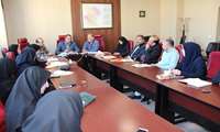 جلسات ستاد اجرایی بسیج ملی فشار خون در کل استان فعال شده است