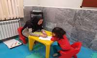 دوره آموزشی تست تکاملی بیلی